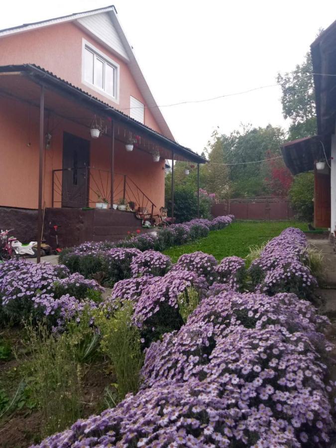 Gostynnyi Dvir U Marichky Otel Lazeshchyna Dış mekan fotoğraf