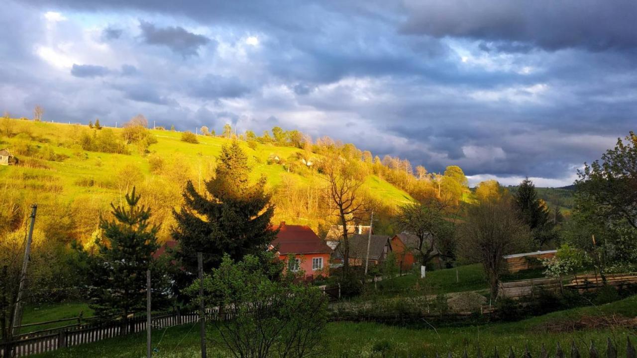 Gostynnyi Dvir U Marichky Otel Lazeshchyna Dış mekan fotoğraf
